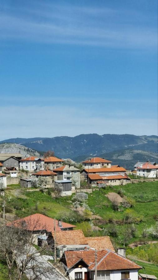 Родопска къща за гости с.ЧАЛА Chala Экстерьер фото